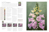 ACRYLIC FLOWER PAINTERS A TO Z - Retail Maharaj