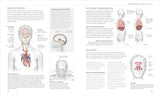 Science of Yoga: Understand the Anatomy and Physiology to Perfect Your Practice - Retail Maharaj
