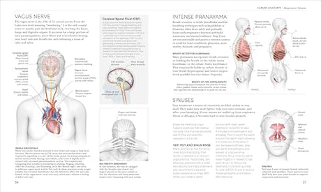 Science of Yoga: Understand the Anatomy and Physiology to Perfect Your Practice - Retail Maharaj