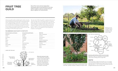The Permaculture Garden: A Practical Approach to Year-round Harvests - Retail Maharaj