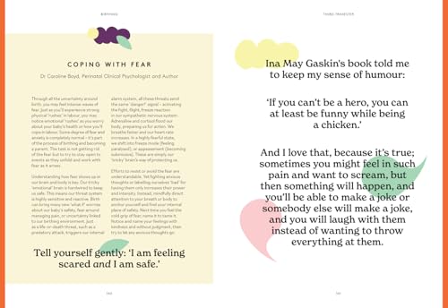 Birthing: The new self-help guide from the author of the bestseller Menopausing to help you through every stage of pregnancy from conception to childbirth to the fourth trimester - Retail Maharaj