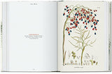 Martius. The Book of Palms. 40th Ed.: Graphic Design & New Typography 1919-1933 - Retail Maharaj