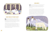 Foraging: The Complete Guide for Kids and Families!: The fun and easy guide to the great outdoors - Retail Maharaj