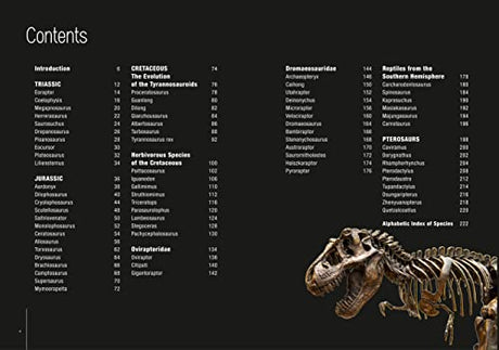 Dinosaurs - Retail Maharaj