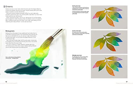 Watercolour Flowers for the Absolute Beginner - Retail Maharaj