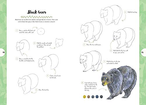 10 Step Drawing: Nature: Draw 60 Plants & Animals in 10 Easy Steps - Retail Maharaj