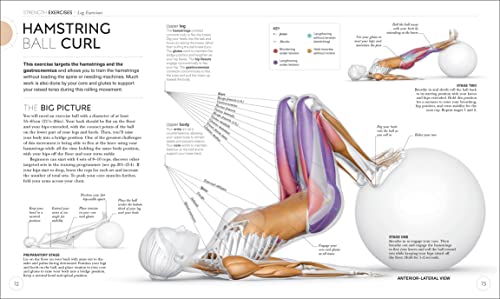 Science of Strength Training: Understand the Anatomy and Physiology to Transform Your Body - Retail Maharaj