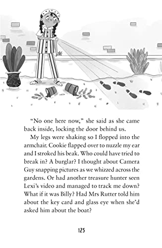 Rani Reports: on The Missing Millions - A Times Best Children's Book of the Year - Retail Maharaj