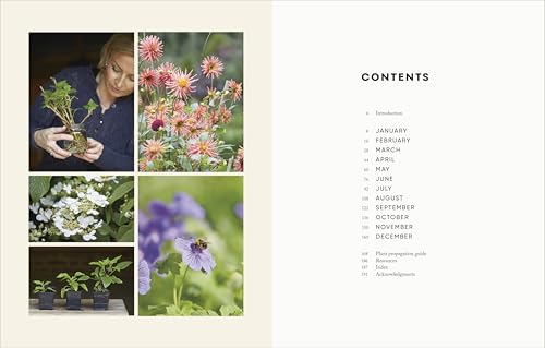 The Money-Saving Garden Year: A Month-by-month Guide to a Great Garden that Costs Less - Retail Maharaj