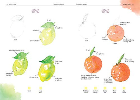 Four-Step Watercolour: 150 Skill-Building Projects to Paint - Retail Maharaj