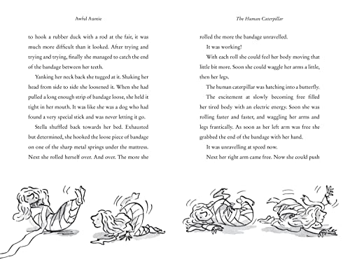 Awful Auntie: A book by David Walliams - Retail Maharaj