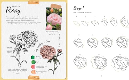 The Kew Book of Drawing Flora & Fauna: 20 Stunning Step-by-Step Tutorials - Retail Maharaj