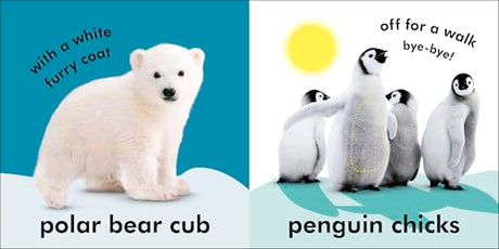 Baby Touch and Feel Fluffy Animals - Retail Maharaj