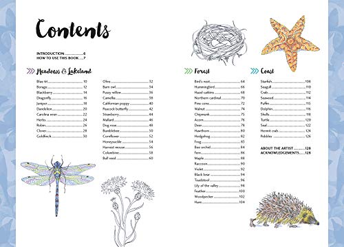 10 Step Drawing: Nature: Draw 60 Plants & Animals in 10 Easy Steps - Retail Maharaj