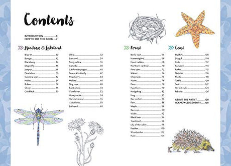 10 Step Drawing: Nature: Draw 60 Plants & Animals in 10 Easy Steps - Retail Maharaj