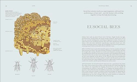 RES Insects: Discover the Science and Secrets Behind the World of Insects - Retail Maharaj