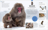 Born to be Wild: How Baby Animals Survive and Thrive - Retail Maharaj