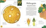 Nature's Treasures: Tales Of More Than 100 Extraordinary Objects From Nature - Retail Maharaj