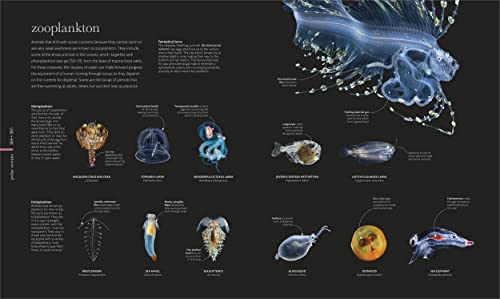 The Science of the Ocean: The Secrets of the Seas Revealed - Retail Maharaj