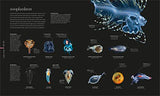 The Science of the Ocean: The Secrets of the Seas Revealed - Retail Maharaj
