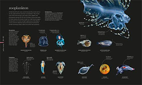 The Science of the Ocean: The Secrets of the Seas Revealed - Retail Maharaj
