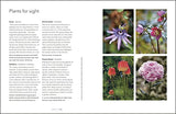 Garden for the Senses: How Your Garden Can Soothe Your Mind and Awaken Your Soul - Retail Maharaj