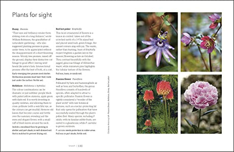 Garden for the Senses: How Your Garden Can Soothe Your Mind and Awaken Your Soul - Retail Maharaj