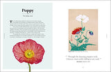 The Secret Language of Flowers - Retail Maharaj