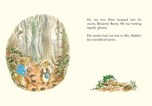 The Christmas Tale of Peter Rabbit - Retail Maharaj