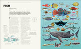 Knowledge A Visual Compendium: Making Sense of our World - Retail Maharaj