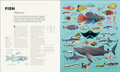 Knowledge A Visual Compendium: Making Sense of our World - Retail Maharaj