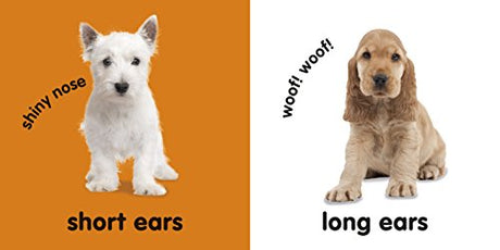 Baby Touch and Feel: Puppies - Retail Maharaj