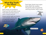 DK Super Readers Level 2 Snarky Shark - Retail Maharaj