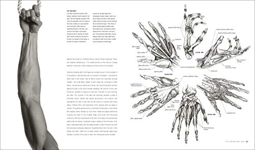 Anatomy for the Artist - Retail Maharaj