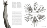 Anatomy for the Artist - Retail Maharaj