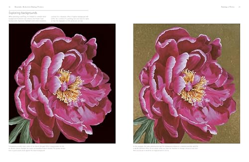 ACRYLIC FLOWER PAINTERS A TO Z - Retail Maharaj