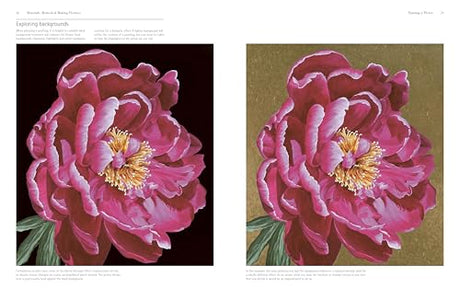 ACRYLIC FLOWER PAINTERS A TO Z - Retail Maharaj