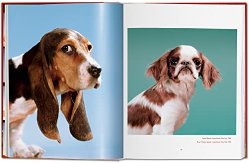 Walter Chandoha. Dogs. Photographs 1941-1991 - Retail Maharaj
