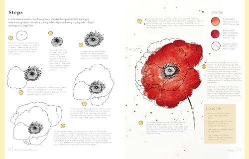 The Kew Book of Drawing Flowers: Failsafe Lessons for Drawing Floral and Botanical Elements. for Journaling, for Stationery, for Keeps - Retail Maharaj