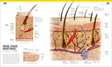 The Complete Human Body: The Definitive Visual Guide - Retail Maharaj