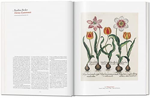 Garden Eden. Masterpieces of Botanical Illustration: Ile de France, Haute-Normandie, Picardie - Retail Maharaj