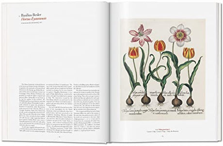 Garden Eden. Masterpieces of Botanical Illustration: Ile de France, Haute-Normandie, Picardie - Retail Maharaj