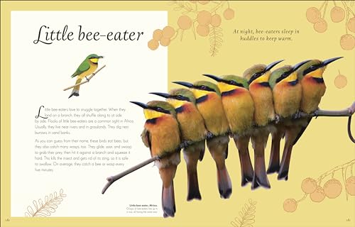 An Anthology of Exquisite Birds - Retail Maharaj