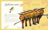 An Anthology of Exquisite Birds - Retail Maharaj