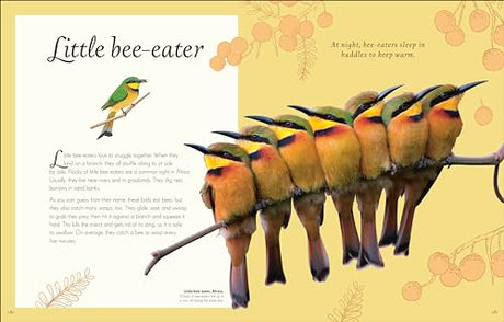 An Anthology of Exquisite Birds - Retail Maharaj