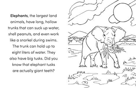 Wild Animal Book for Kids: Coloring Fun and Awesome Facts (A Did You Know? Coloring Book) - Retail Maharaj