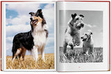 Walter Chandoha. Dogs. Photographs 1941-1991 - Retail Maharaj