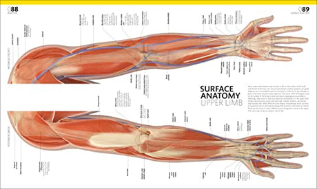 The Complete Human Body: The Definitive Visual Guide - Retail Maharaj