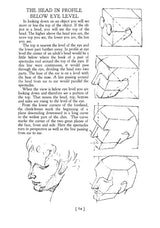 Heads, Features and Faces - Retail Maharaj