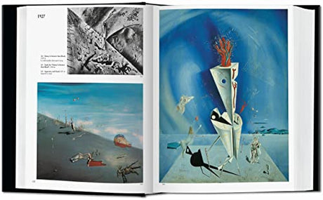 Dali. The Paintings: Predictions from Transaction Costs Economics, Resource-Based Theory, and Real Options Theory - Retail Maharaj